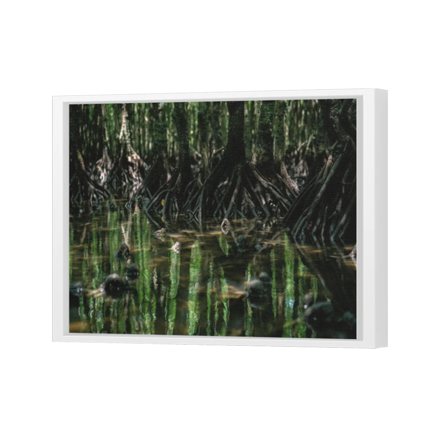 Thumbnail for Canvas - White Floating Frame