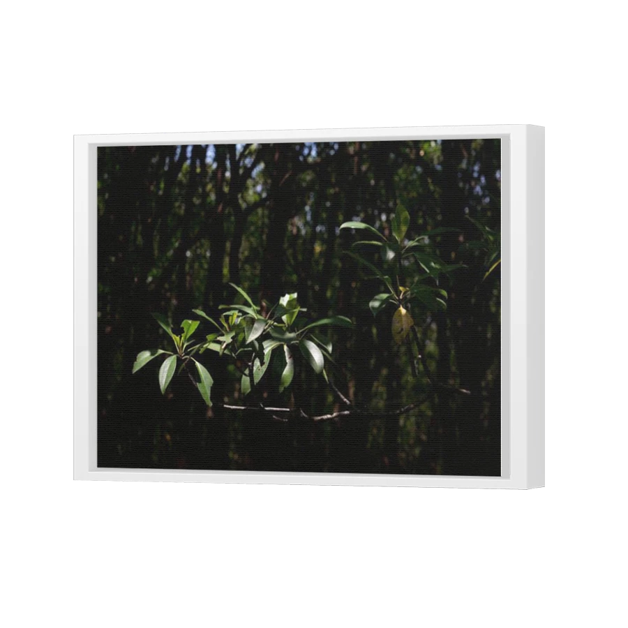 Thumbnail for Canvas - White Floating Frame