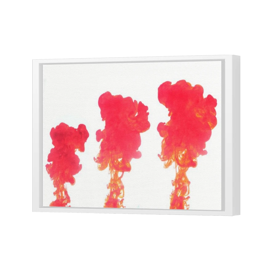 Thumbnail for Canvas - White Floating Frame