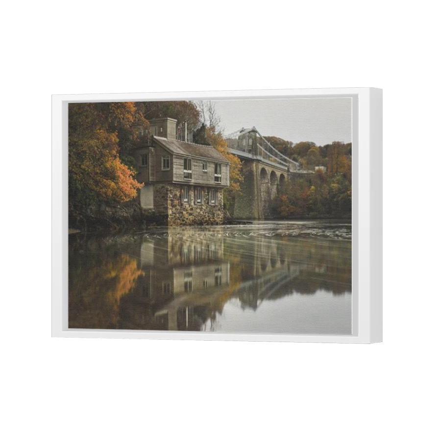 Thumbnail for Canvas - White Floating Frame