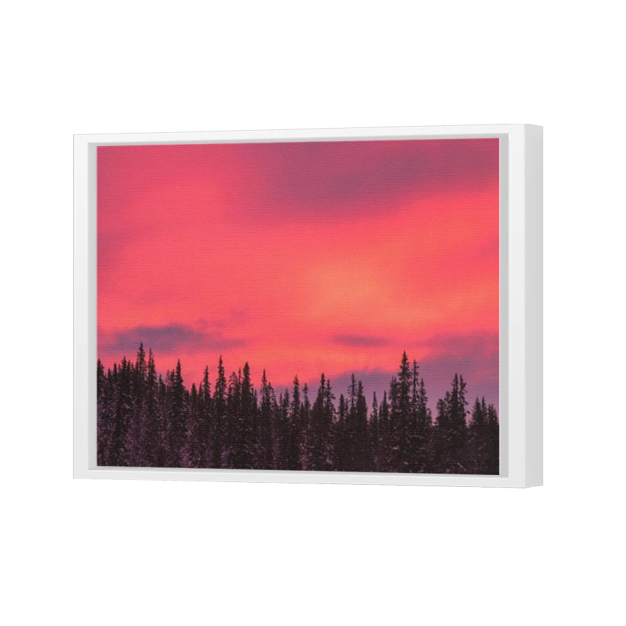 Thumbnail for Canvas - White Floating Frame