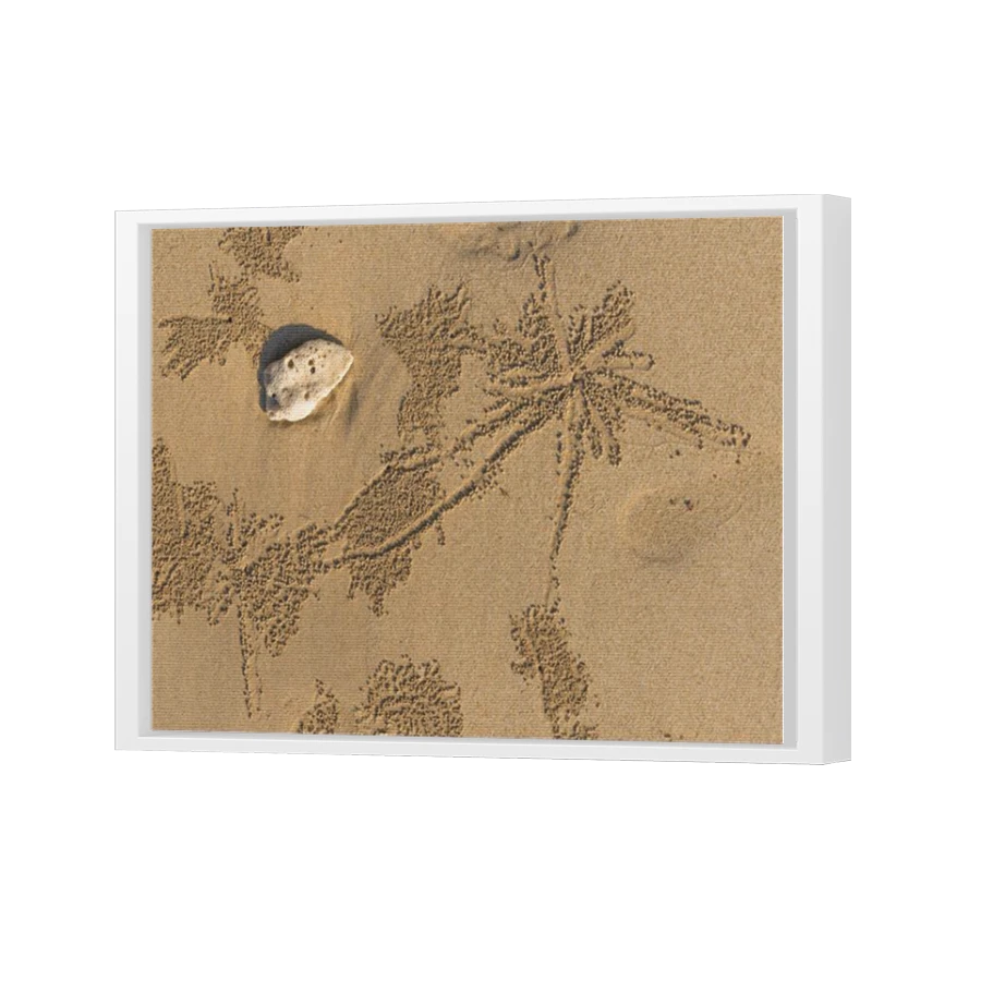 Thumbnail for Canvas - White Floating Frame