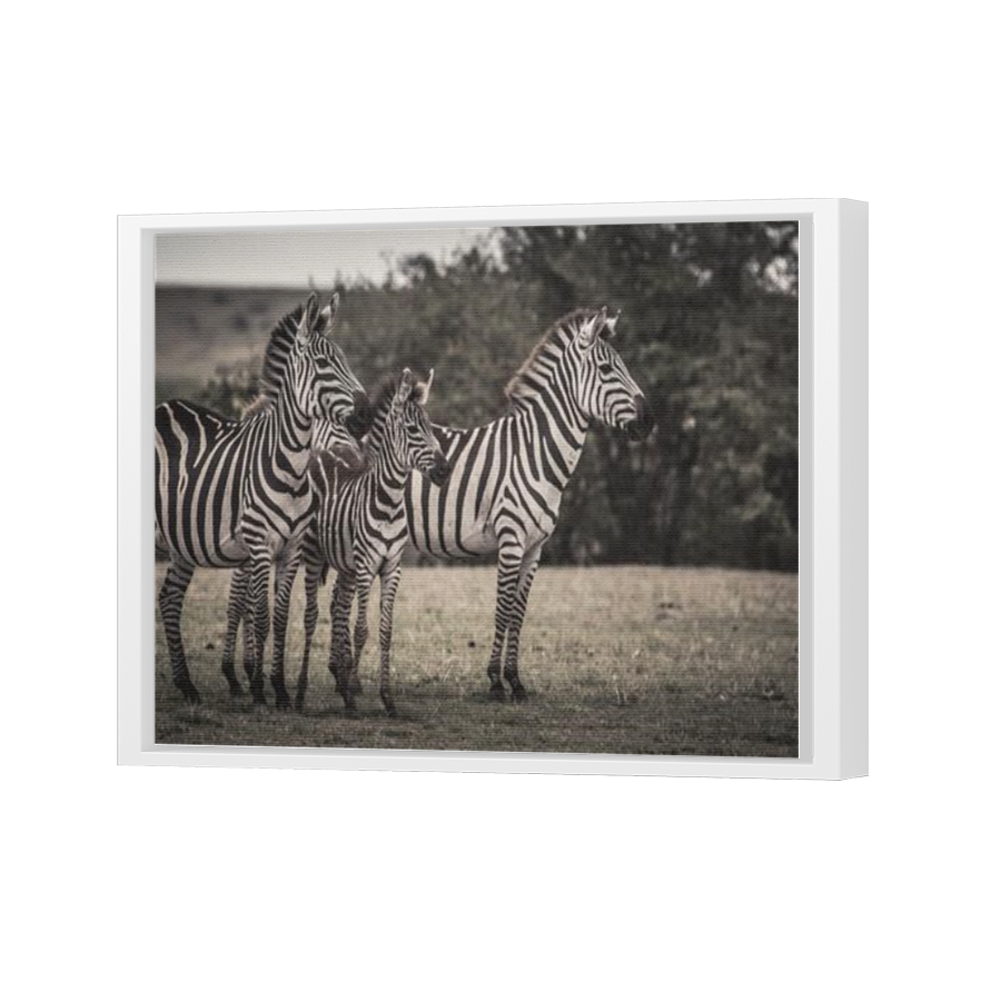 Thumbnail for Canvas - White Floating Frame