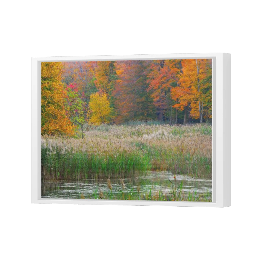 Thumbnail for Canvas - White Floating Frame