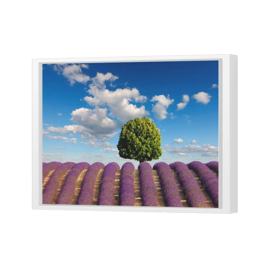 Thumbnail for Canvas - White Floating Frame