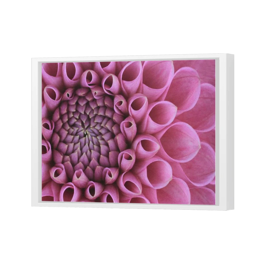 Thumbnail for Canvas - White Floating Frame
