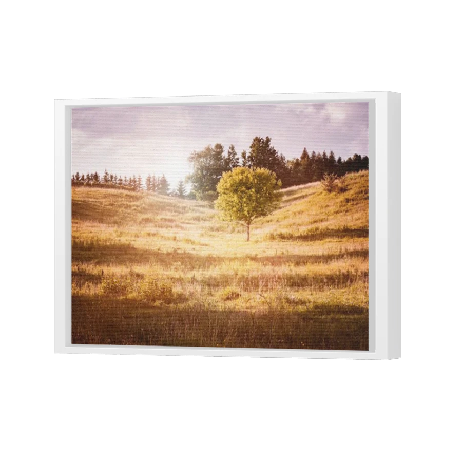 Thumbnail for Canvas - White Floating Frame