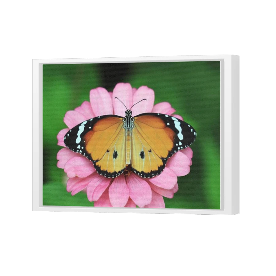 Thumbnail for Canvas - White Floating Frame