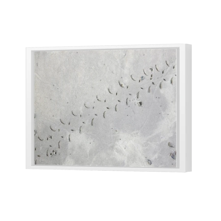 Thumbnail for Canvas - White Floating Frame