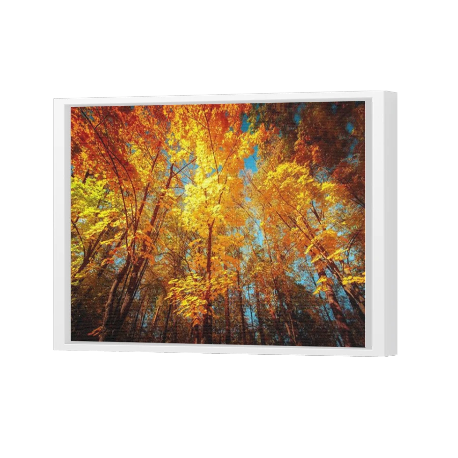 Thumbnail for Canvas - White Floating Frame