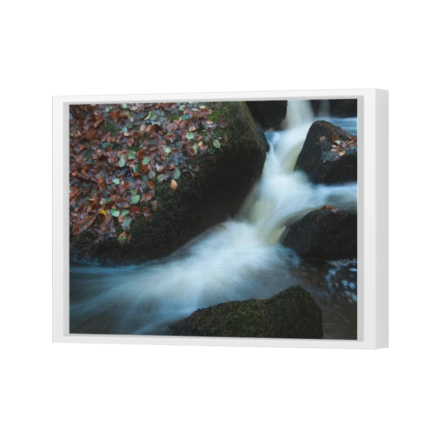Thumbnail for Canvas - White Floating Frame