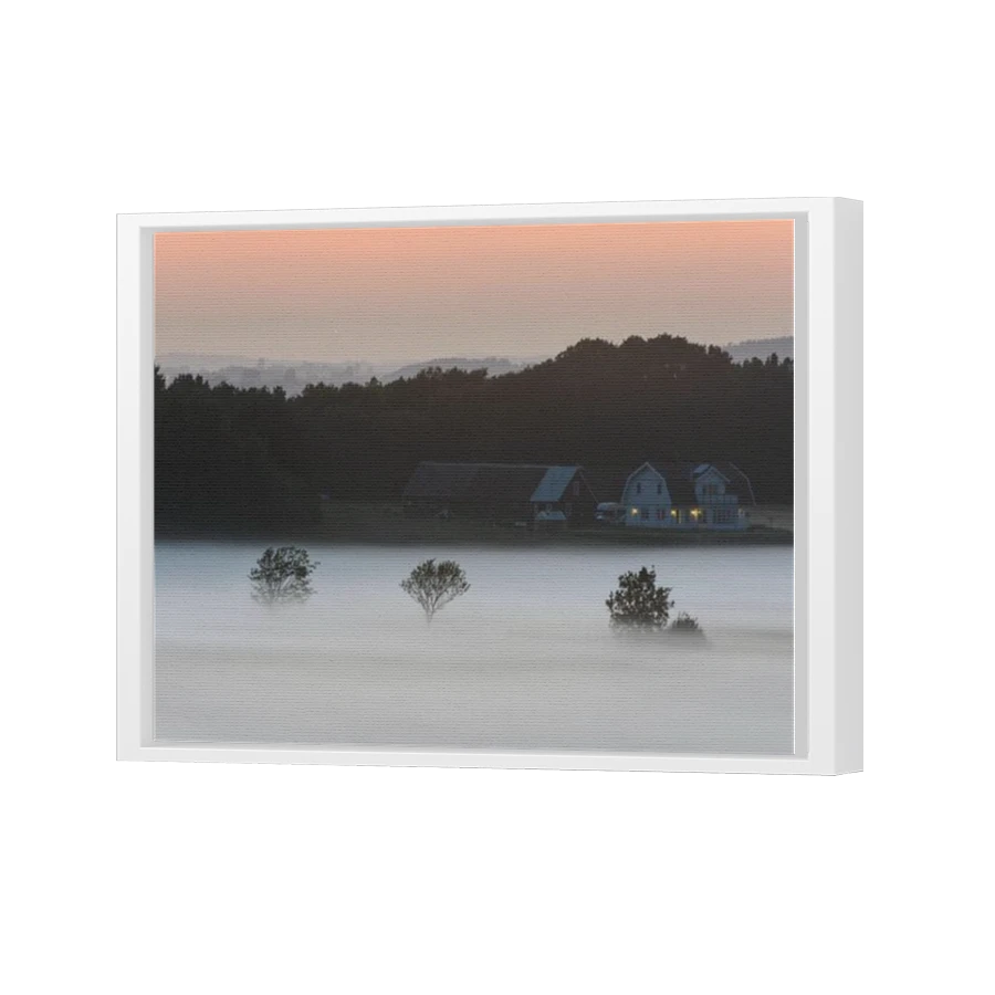 Thumbnail for Canvas - White Floating Frame