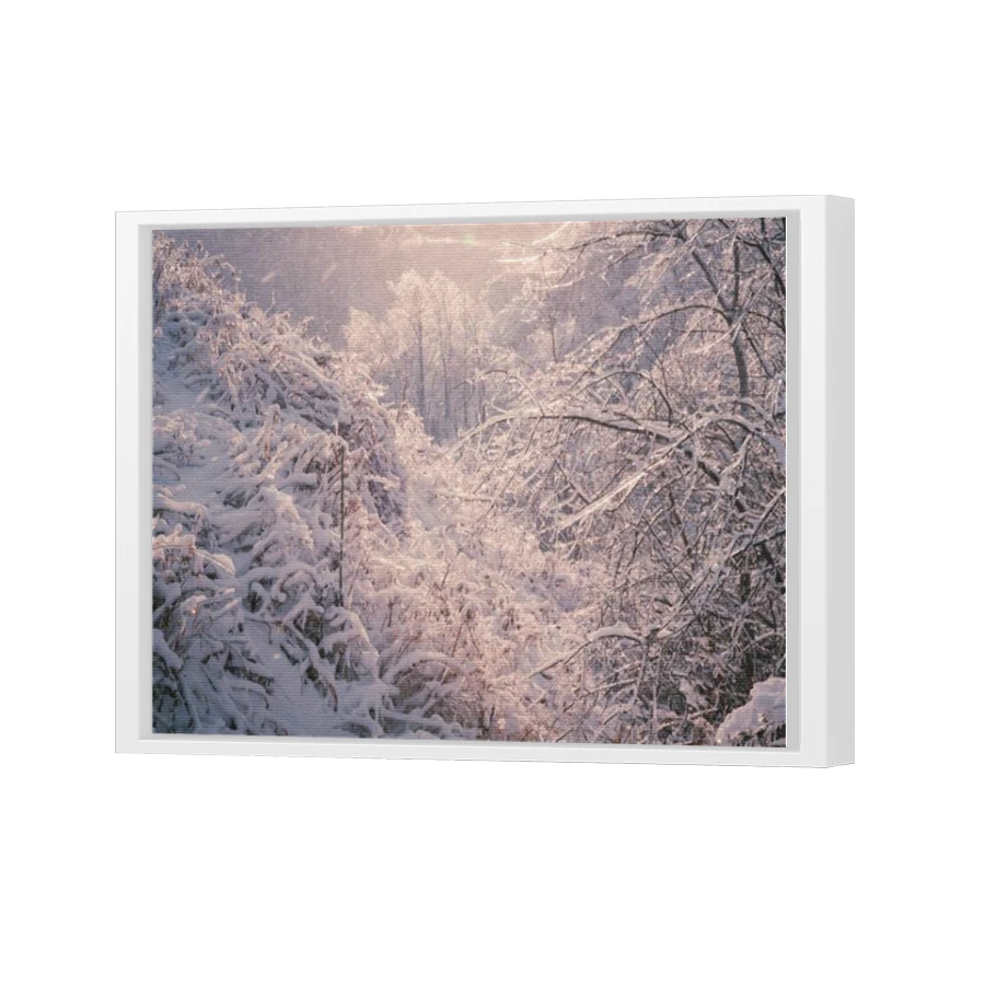 Thumbnail for Canvas - White Floating Frame