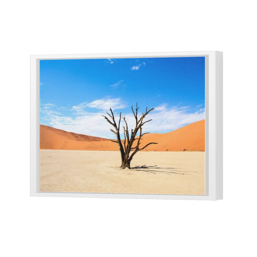 Thumbnail for Canvas - White Floating Frame