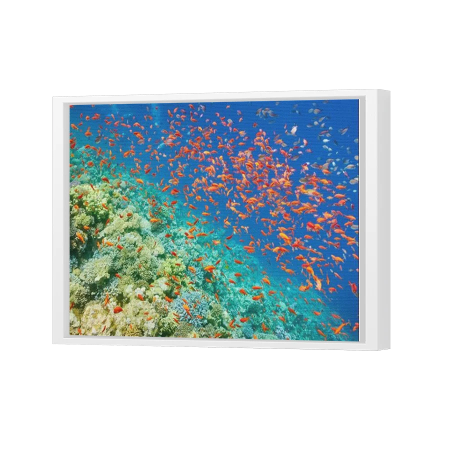Thumbnail for Canvas - White Floating Frame