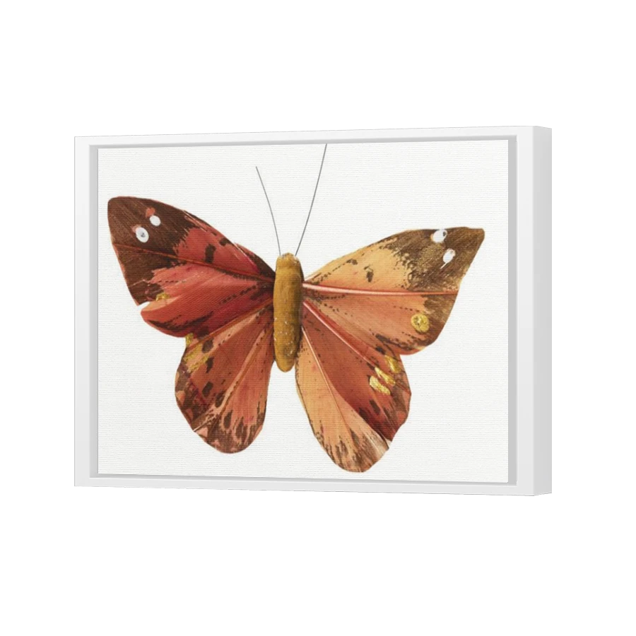 Thumbnail for Canvas - White Floating Frame