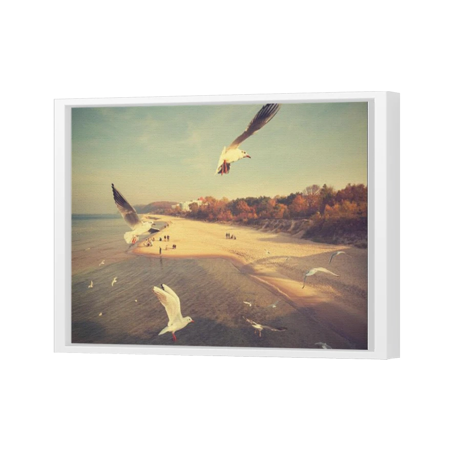 Thumbnail for Canvas - White Floating Frame