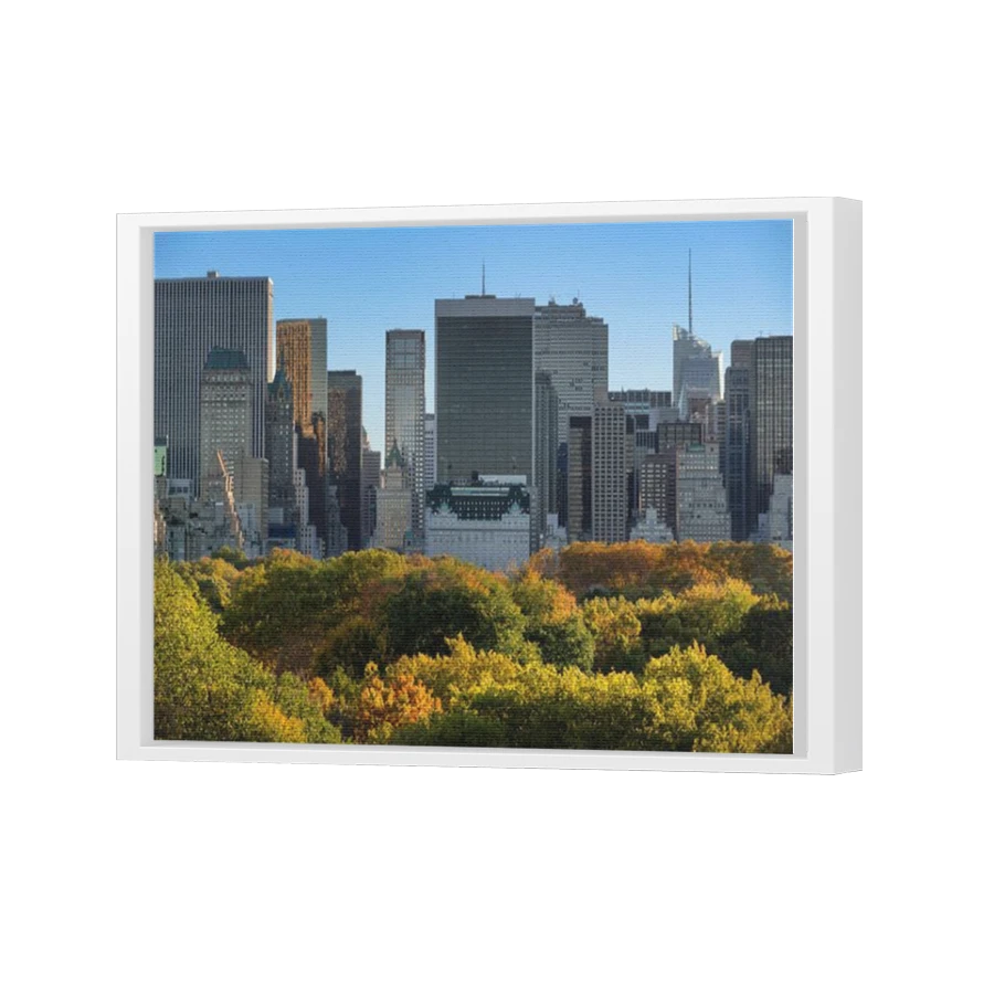 Thumbnail for Canvas - White Floating Frame