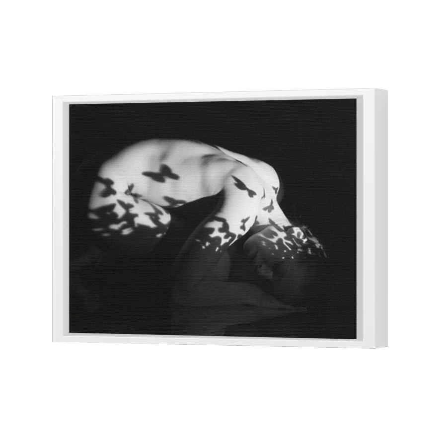 Thumbnail for Canvas - White Floating Frame