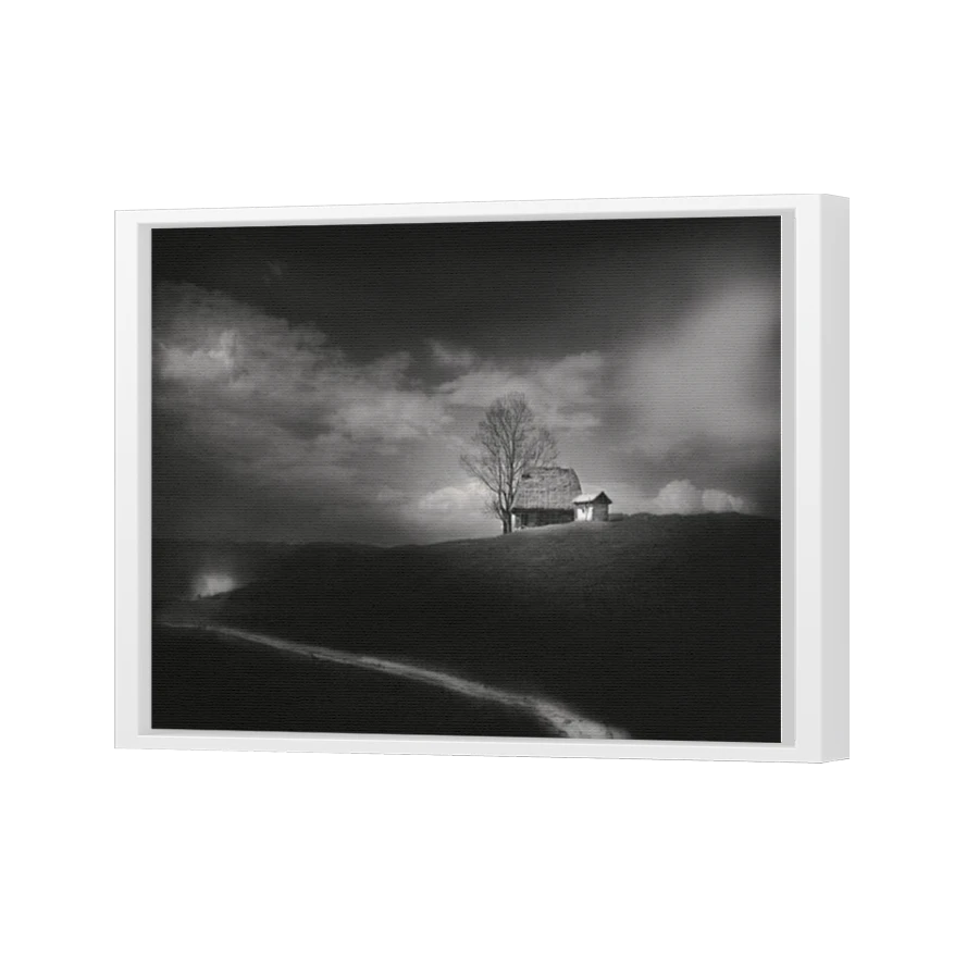 Thumbnail for Canvas - White Floating Frame