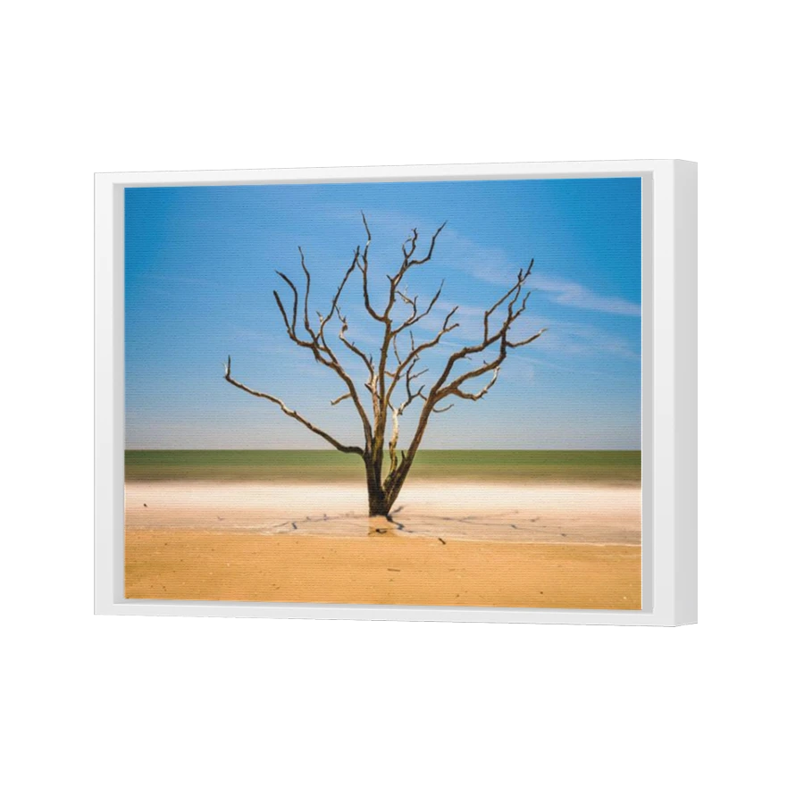 Thumbnail for Canvas - White Floating Frame