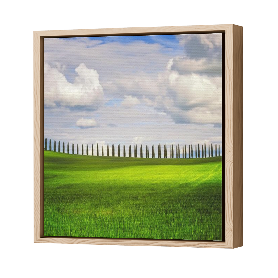 Thumbnail for Canvas - Wood Grain Floating Frame