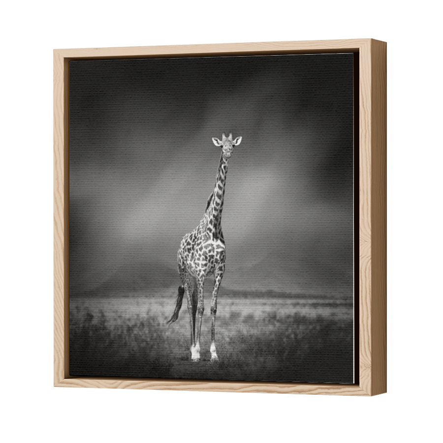 Thumbnail for Canvas - Wood Grain Floating Frame