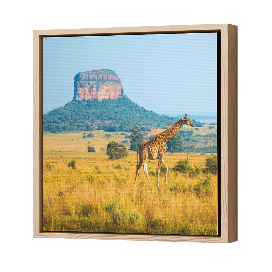 Thumbnail for Canvas - Wood Grain Floating Frame