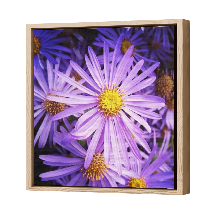Thumbnail for Canvas - Wood Grain Floating Frame