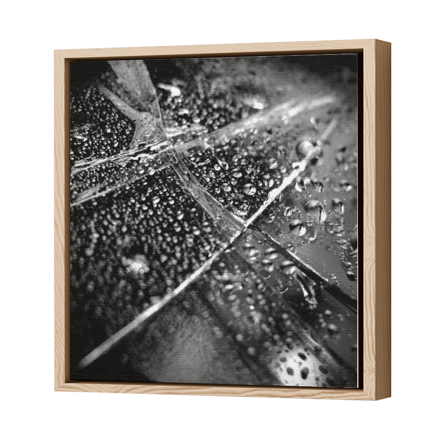 Thumbnail for Canvas - Wood Grain Floating Frame