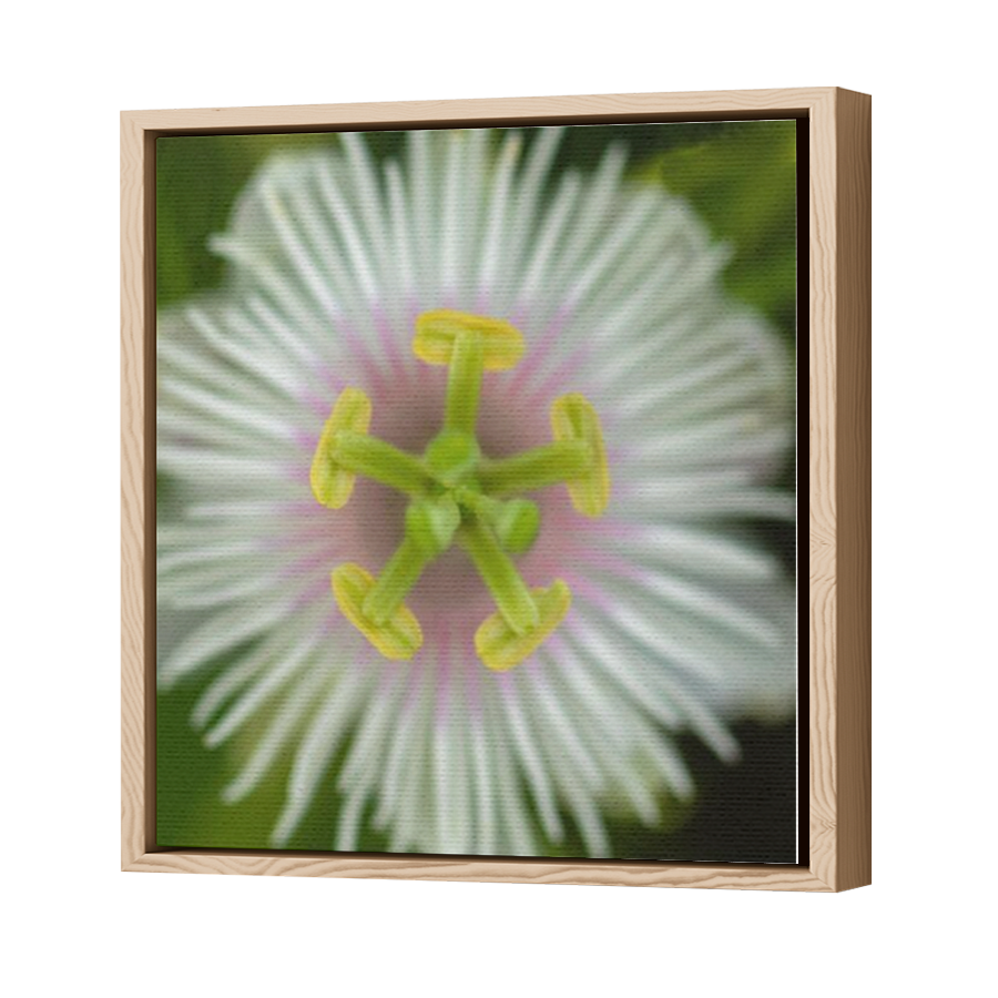 Thumbnail for Canvas - Wood Grain Floating Frame