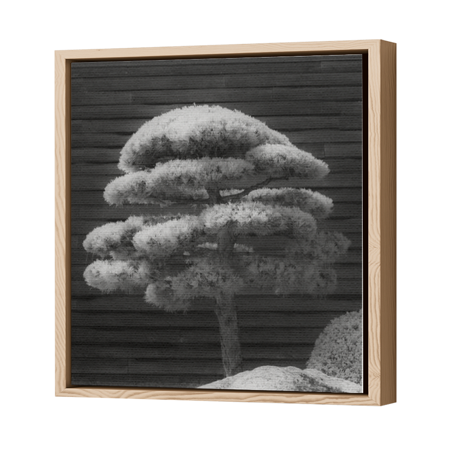 Thumbnail for Canvas - Wood Grain Floating Frame
