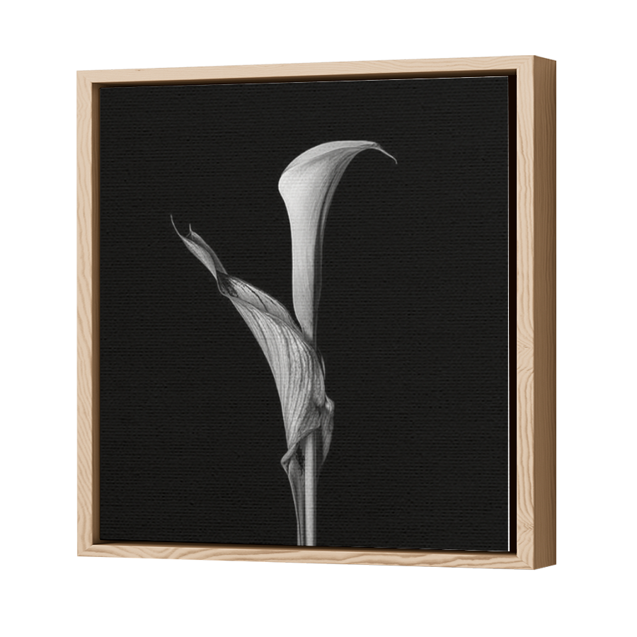 Thumbnail for Canvas - Wood Grain Floating Frame