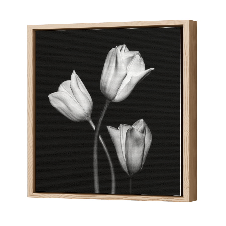 Thumbnail for Canvas - Wood Grain Floating Frame