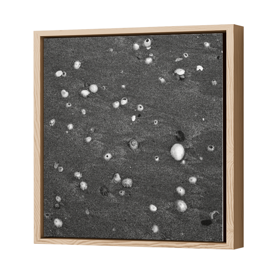 Thumbnail for Canvas - Wood Grain Floating Frame