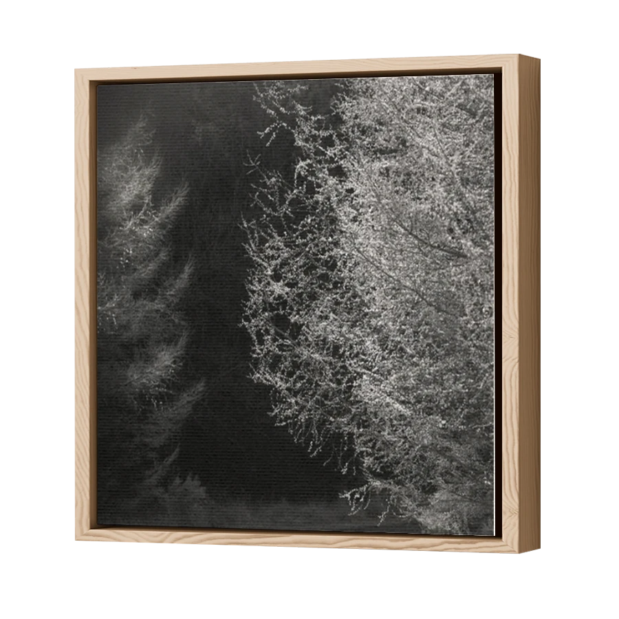Thumbnail for Canvas - Wood Grain Floating Frame