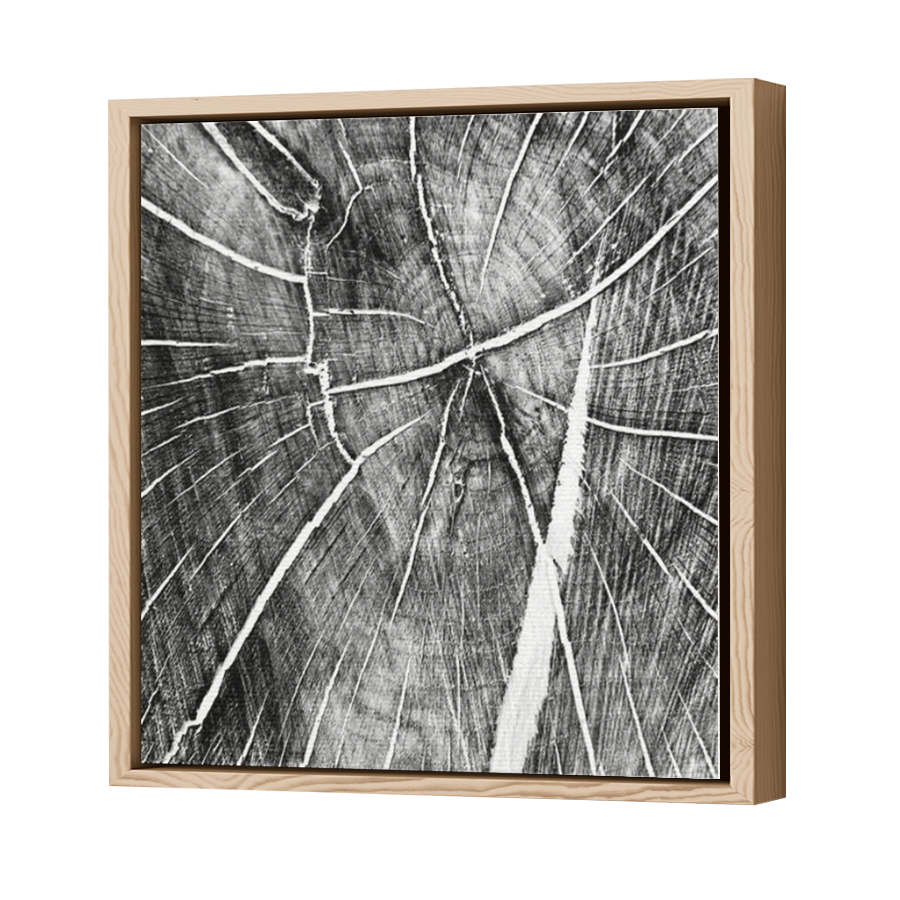 Thumbnail for Canvas - Wood Grain Floating Frame