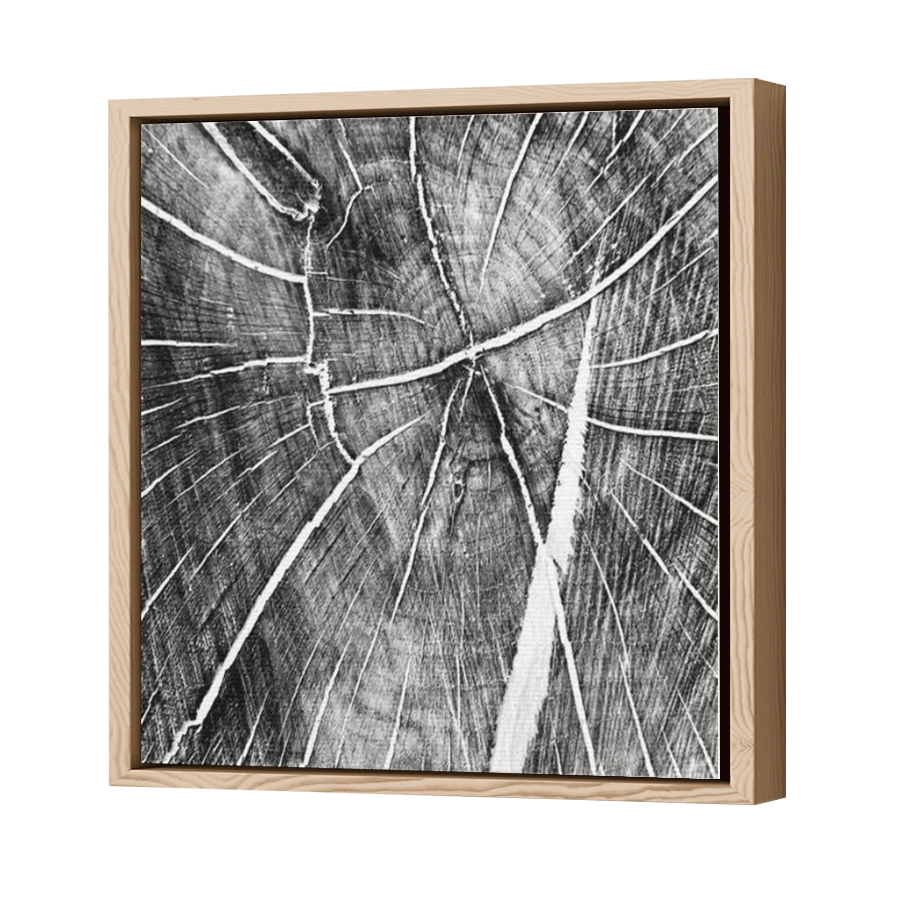 Thumbnail for Canvas - Wood Grain Floating Frame