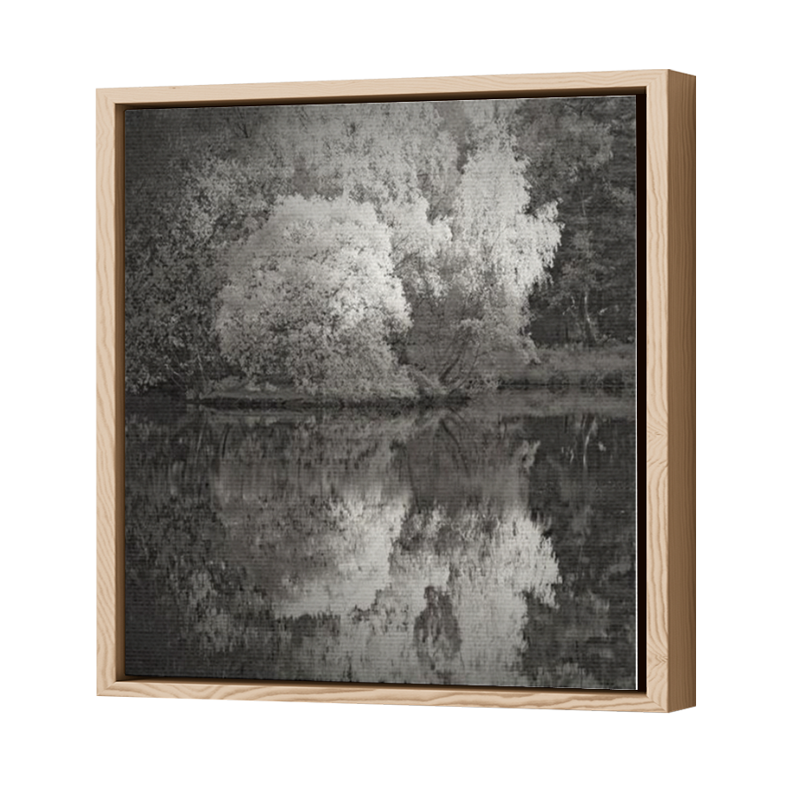 Thumbnail for Canvas - Wood Grain Floating Frame