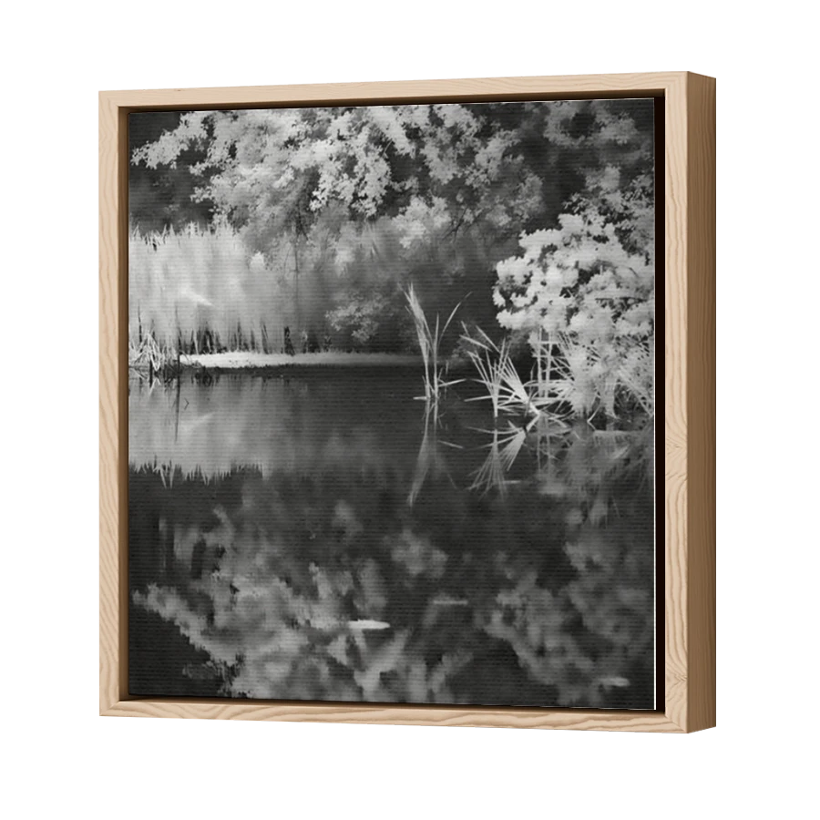 Thumbnail for Canvas - Wood Grain Floating Frame