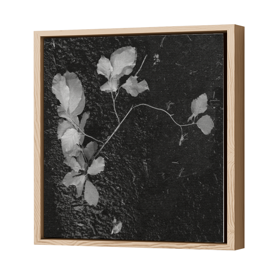 Thumbnail for Canvas - Wood Grain Floating Frame