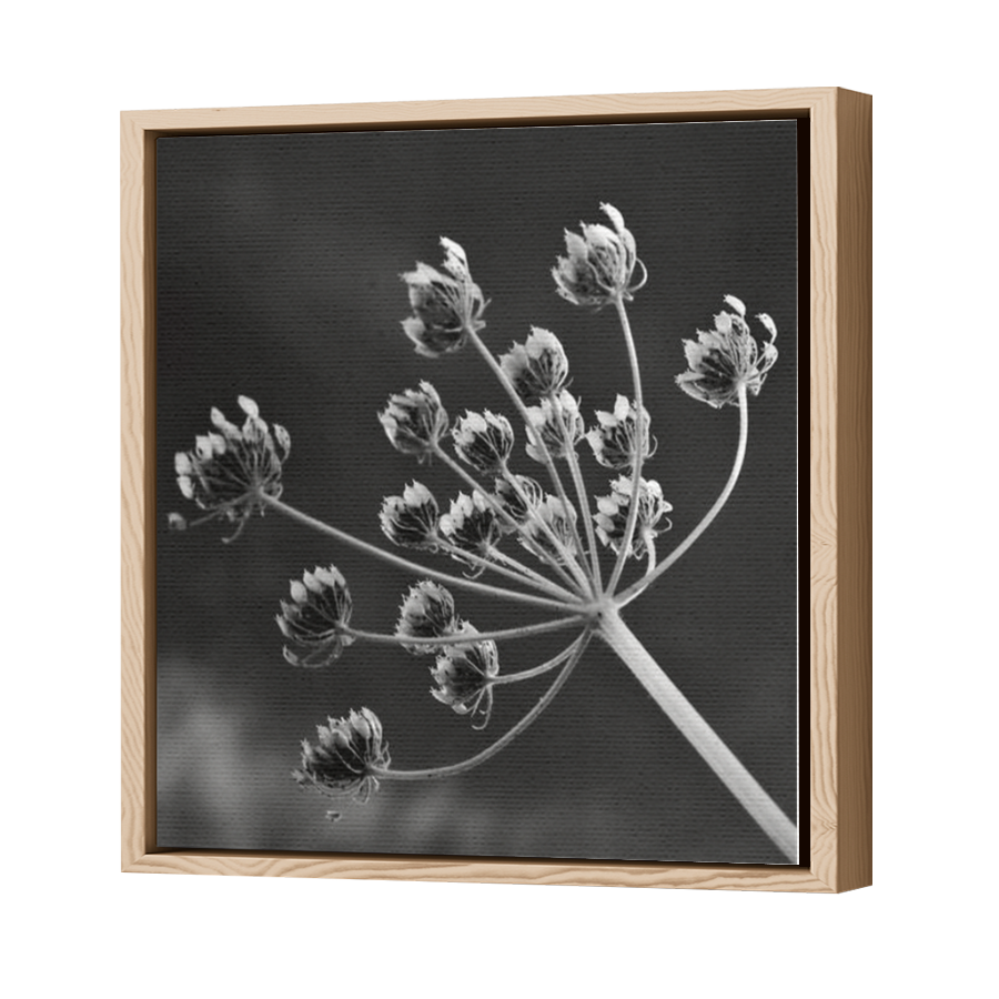 Thumbnail for Canvas - Wood Grain Floating Frame