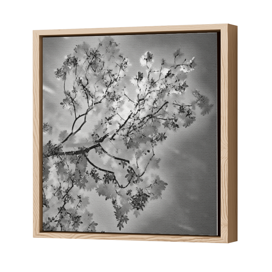 Thumbnail for Canvas - Wood Grain Floating Frame