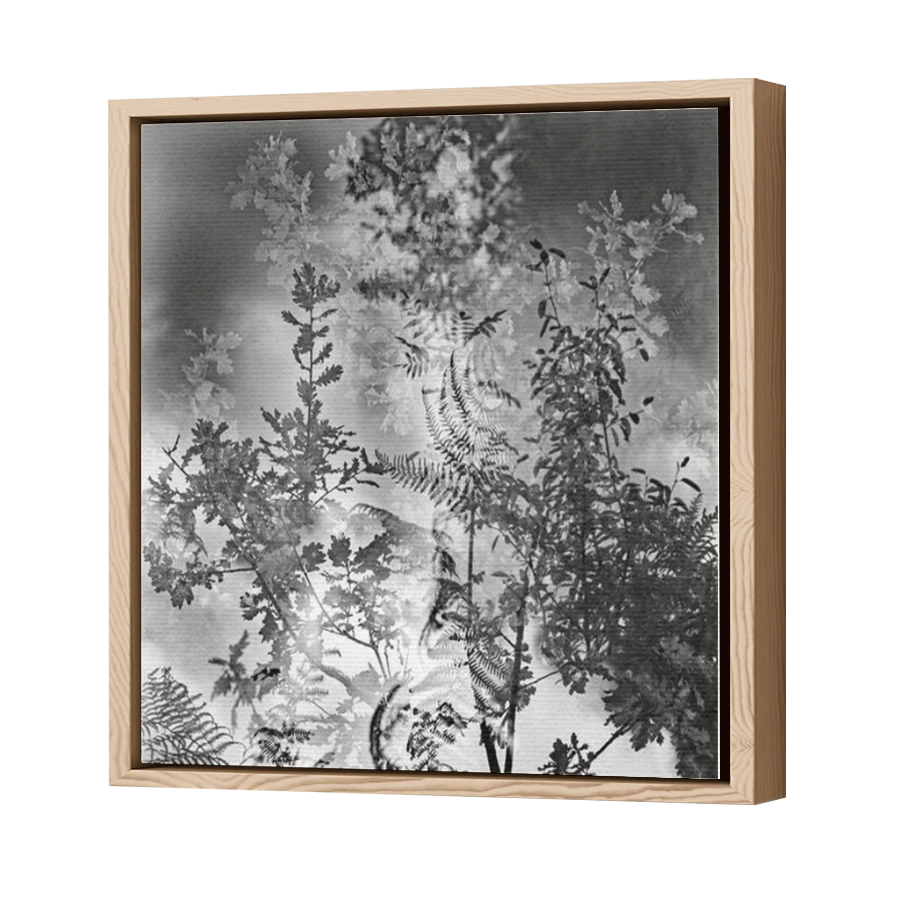 Thumbnail for Canvas - Wood Grain Floating Frame