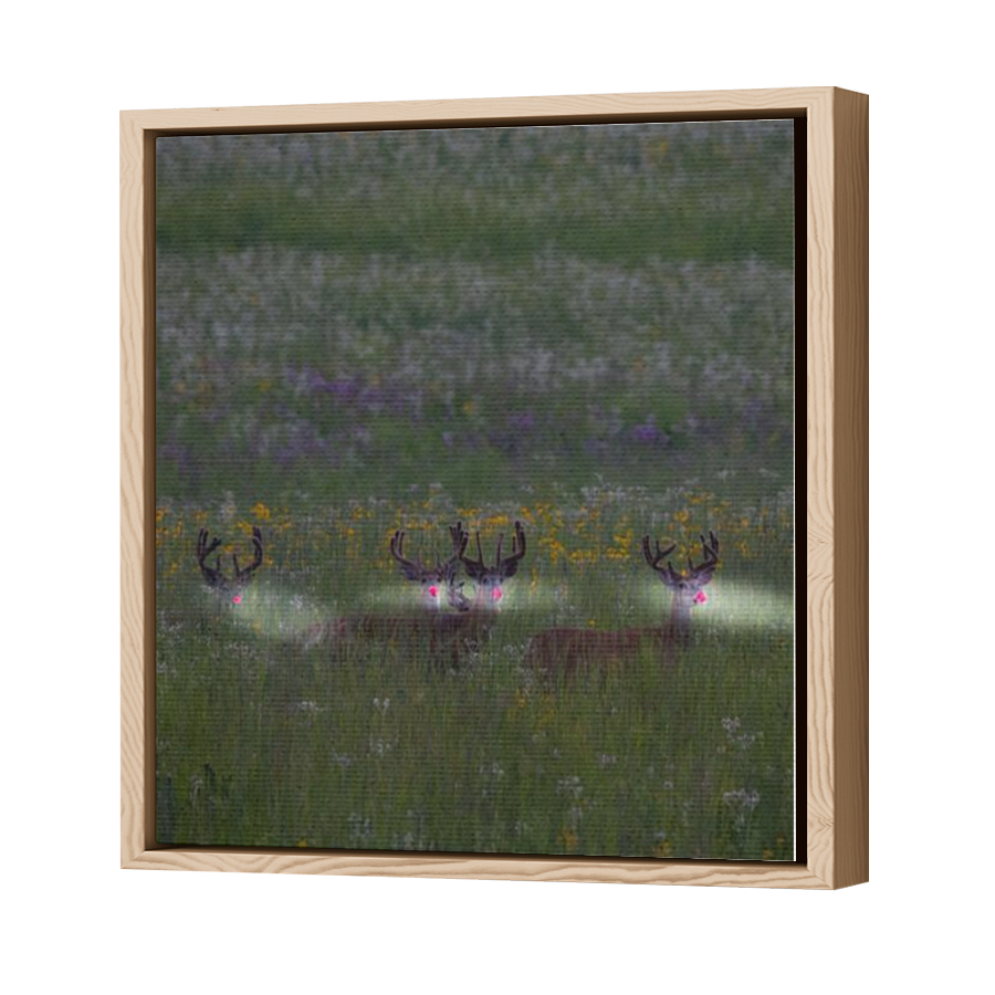 Thumbnail for Canvas - Wood Grain Floating Frame