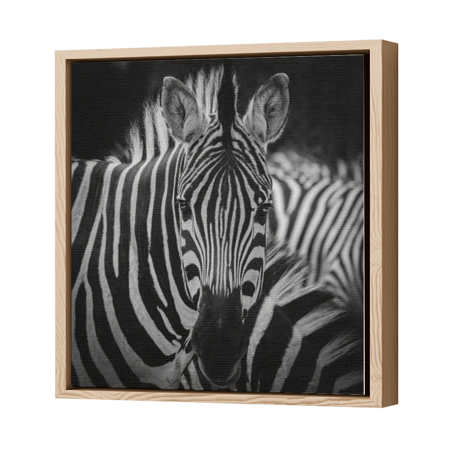 Thumbnail for Canvas - Wood Grain Floating Frame