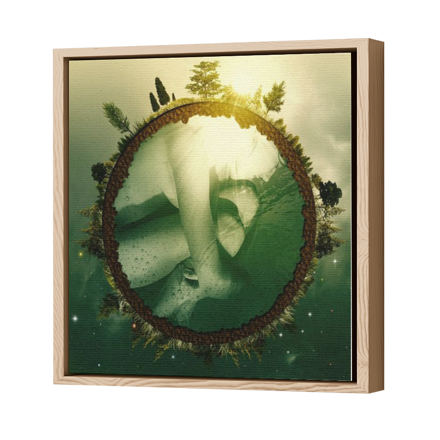 Thumbnail for Canvas - Wood Grain Floating Frame