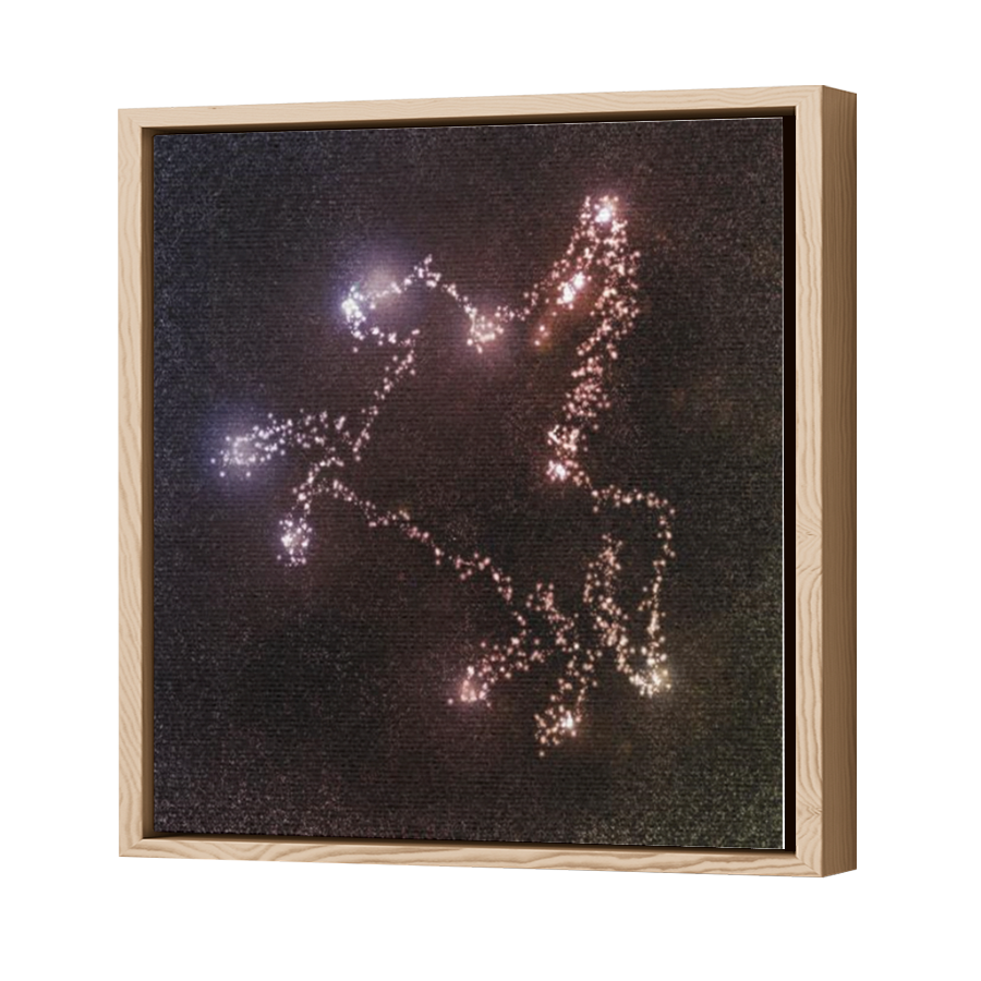 Thumbnail for Canvas - Wood Grain Floating Frame