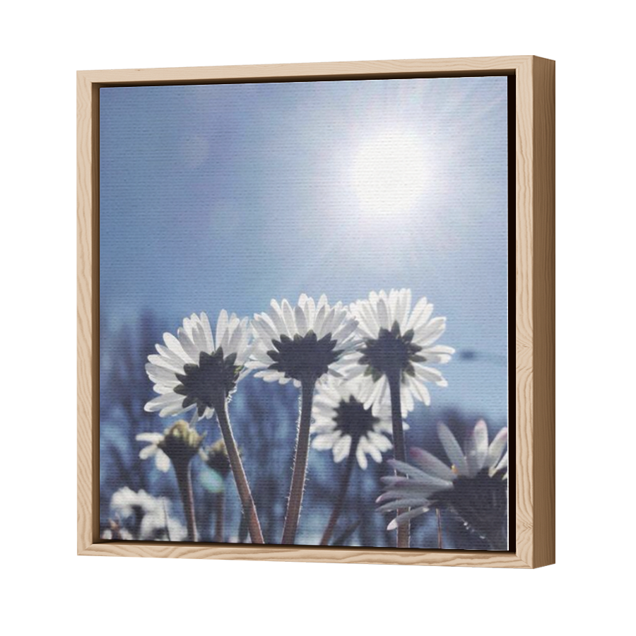 Thumbnail for Canvas - Wood Grain Floating Frame