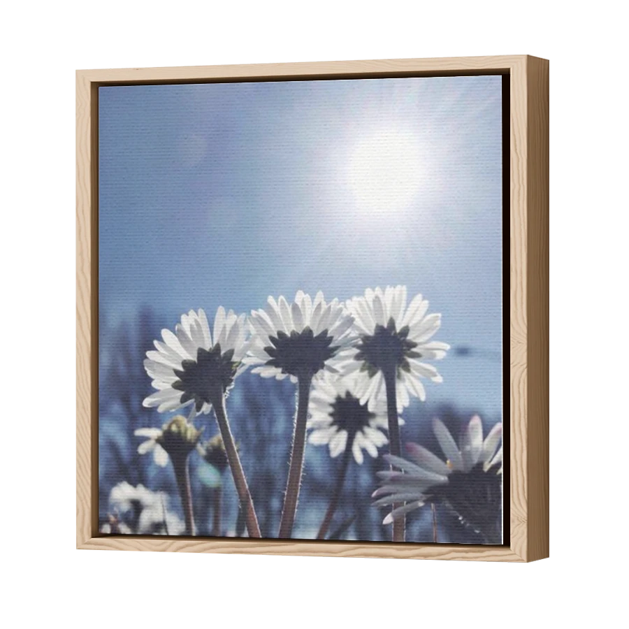 Thumbnail for Canvas - Wood Grain Floating Frame